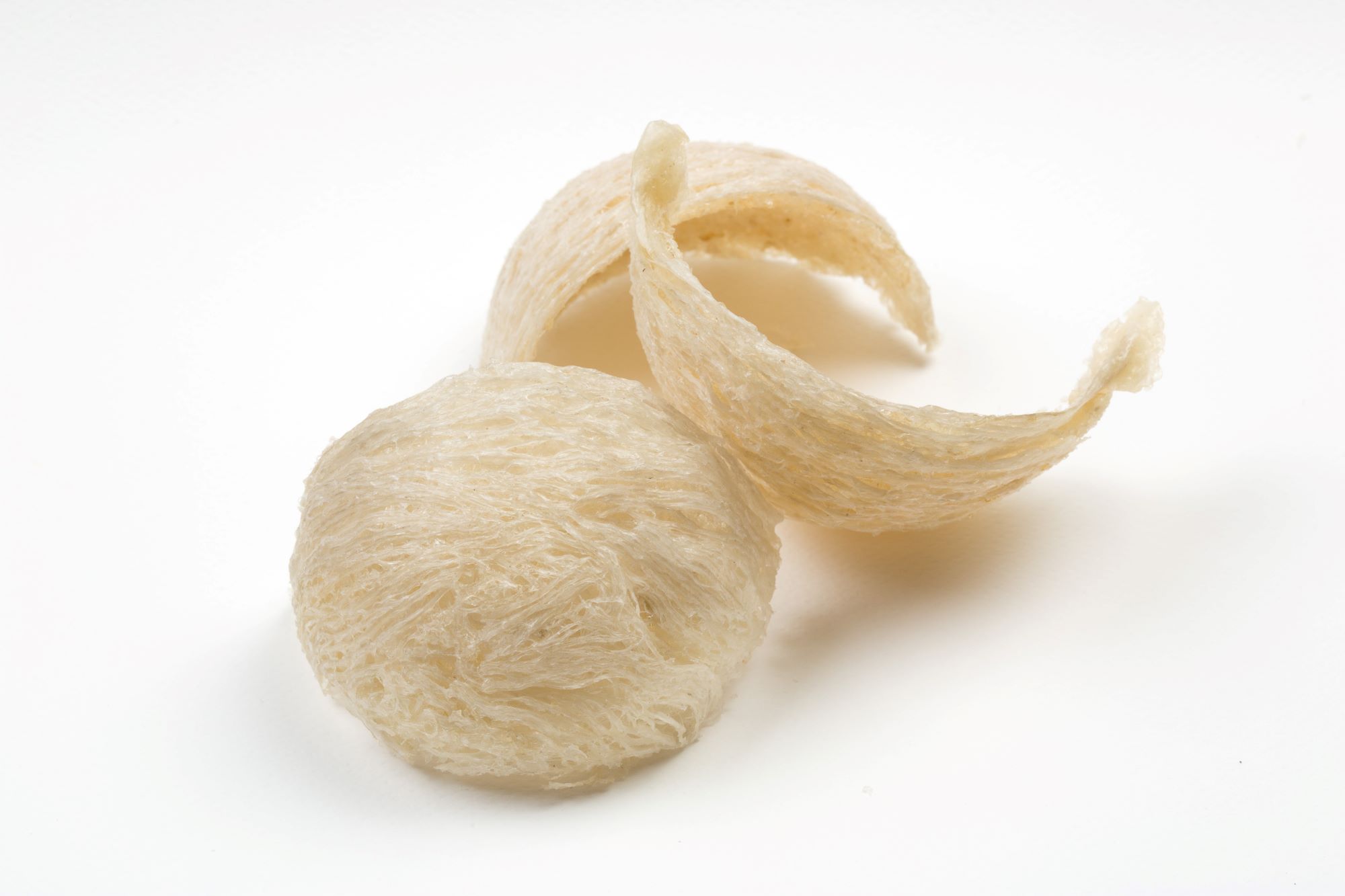 Nutrition & Wellness