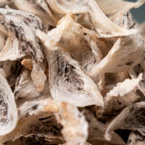 Raw Bird’s Nest (毛燕) 1kg